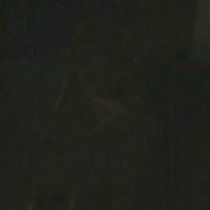 Meet your Posher, Seashell